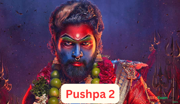 Pushpa Part 2 Short Overview