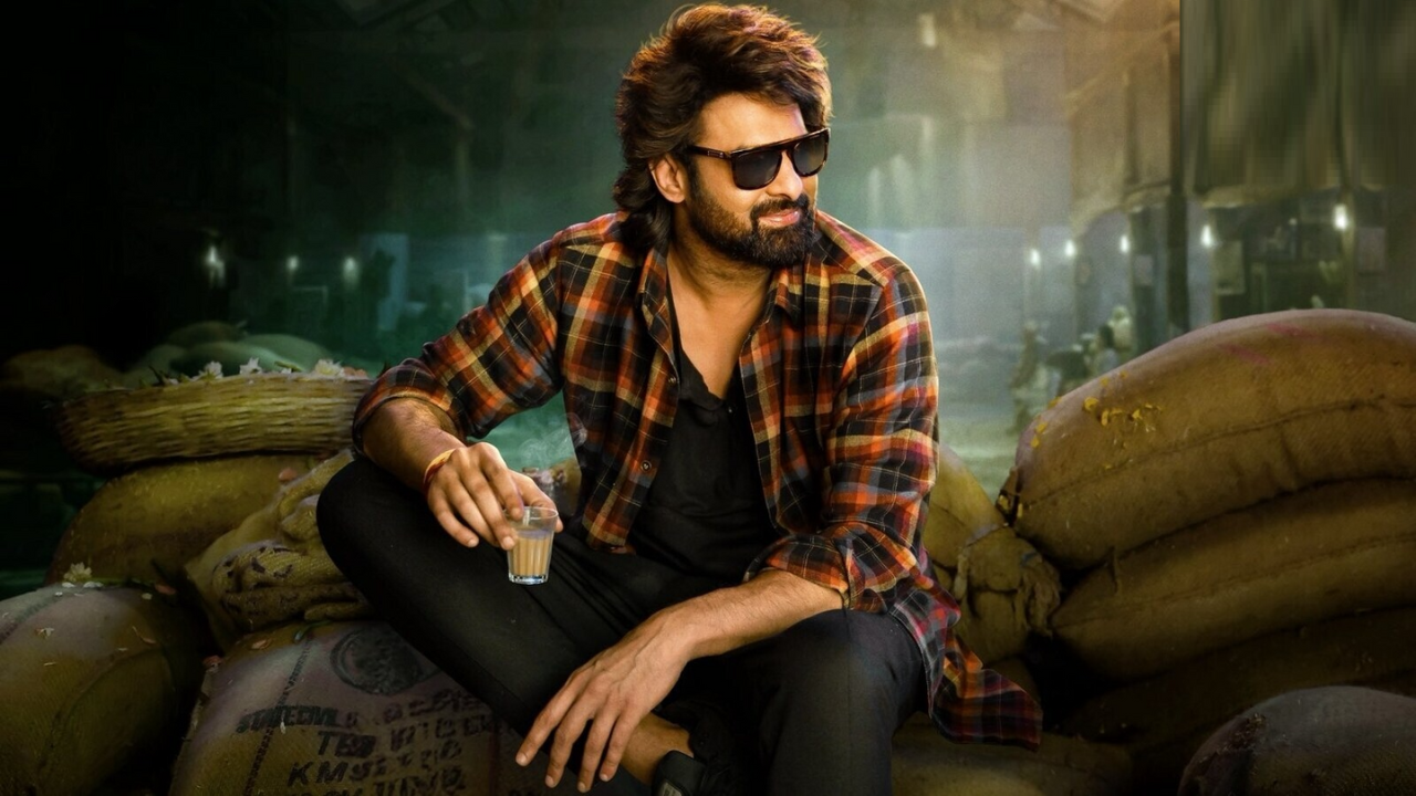 The RajaSaab Movie Overview Image.png