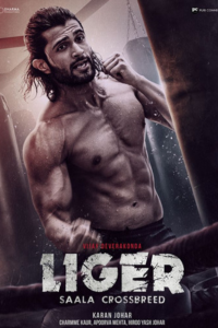 Liger - Overview
